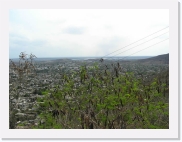 holguinP4190091 * 614 x 461 * (64KB)