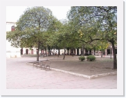 holguinP4190116 * 614 x 461 * (69KB)