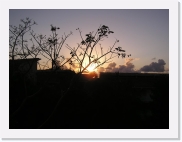 paysageP4150012 * 614 x 461 * (51KB)