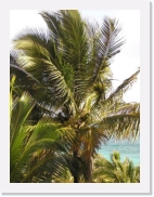 paysageP4150017 * 461 x 614 * (53KB)