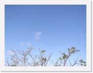 paysageP4150019 * 614 x 461 * (47KB)