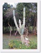 paysageP4230282 * 461 x 614 * (77KB)