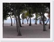 paysageP4230286 * 614 x 461 * (61KB)