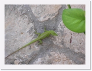 potesP4230266 * 614 x 461 * (66KB)