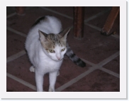 potesP4230295 * 614 x 461 * (36KB)