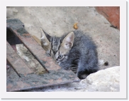 potesP4240327 * 614 x 461 * (64KB)