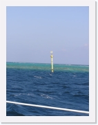 sortiecatP4210167 * 461 x 614 * (49KB)