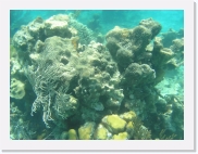 sortiecatP4210170 * 614 x 461 * (73KB)