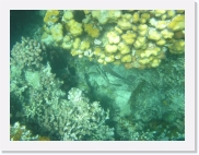 sortiecatP4210172 * 614 x 461 * (73KB)