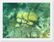 sortiecatP4210173 * 614 x 461 * (80KB)