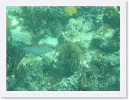 sortiecatP4210174 * 614 x 461 * (76KB)