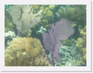 sortiecatP4210175 * 614 x 461 * (70KB)