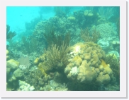 sortiecatP4210177 * 614 x 461 * (79KB)