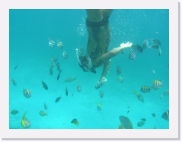 sortiecatP4210179 * 614 x 461 * (55KB)