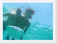 sortiecatP4210195 * 614 x 461 * (67KB)