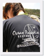 sortiecatP4210207 * 461 x 614 * (64KB)