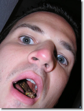 Diapositive suivante