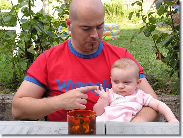 Diapositive suivante