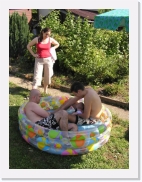 P1010031 * 461 x 614 * (81KB)