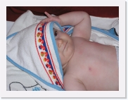 P1010033 * 614 x 461 * (58KB)