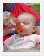 P1010050 * 461 x 614 * (68KB)