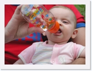 P1010051 * 614 x 461 * (70KB)