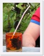 P1010054 * 461 x 614 * (56KB)