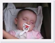 P1010056 * 614 x 461 * (43KB)