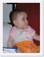 P1010062 * 461 x 614 * (50KB)