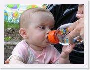 P1010079 * 614 x 461 * (67KB)