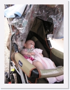 P1010080 * 461 x 614 * (71KB)