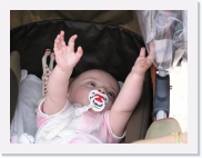 P1010083 * 614 x 461 * (57KB)