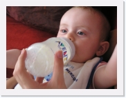 P1010084 * 614 x 461 * (43KB)