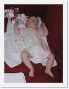 P1010086 * 461 x 614 * (55KB)