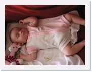 P1010087 * 614 x 461 * (58KB)