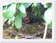 aP1010184 * 614 x 461 * (63KB)