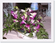 P1010220 * 614 x 461 * (75KB)