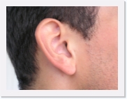 P1010008 * 614 x 461 * (46KB)