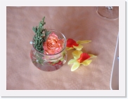 P1010017 * 614 x 461 * (47KB)