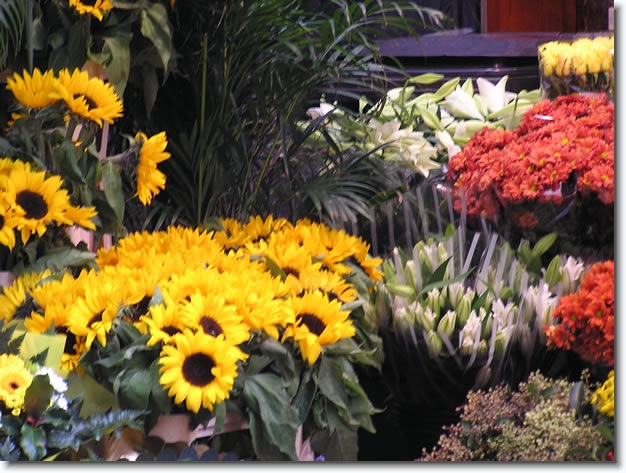 Diapositive suivante