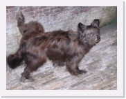 PB040009 * 614 x 461 * (59KB)