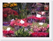 PB050063 * 614 x 461 * (87KB)