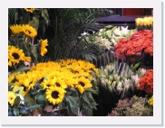 PB050064 * 614 x 461 * (79KB)