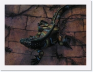 PC150151 * 614 x 461 * (41KB)