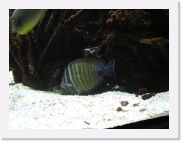 PC150159 * 614 x 461 * (63KB)