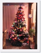 PC200195 * 461 x 614 * (56KB)