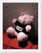 PC220227 * 461 x 614 * (59KB)