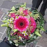 Lucie-Valentin-20121116-1605-007